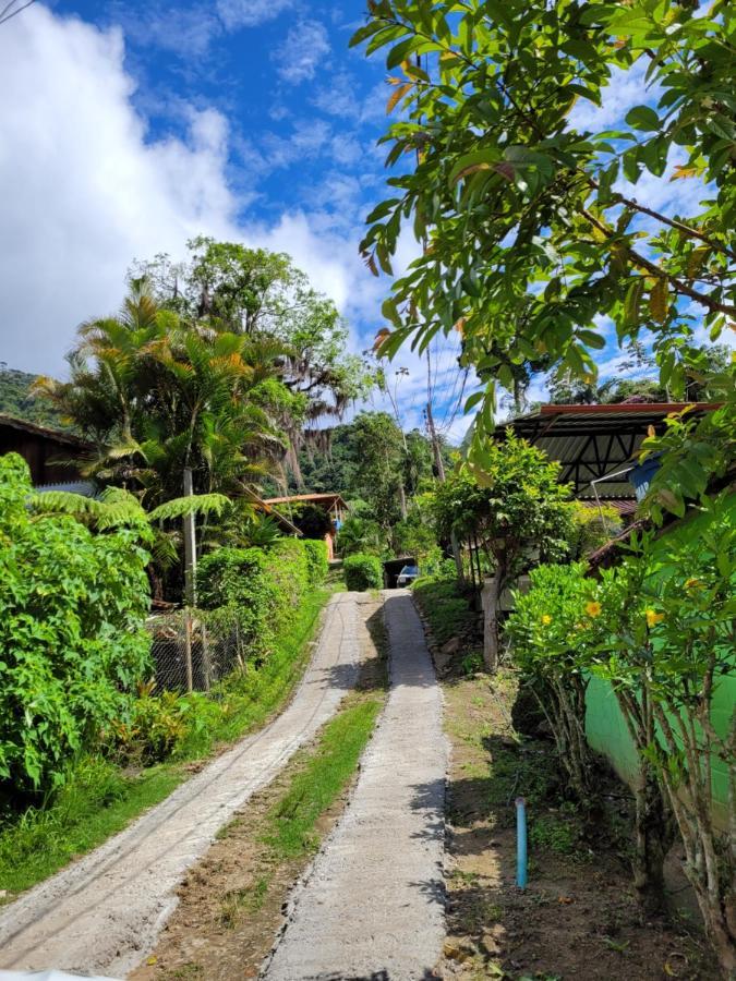 Casa Do Ipe - Hospedagem Лумиар Экстерьер фото